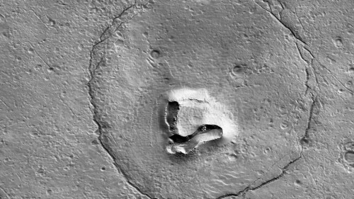 Is there life on Mars? Maybe, and it could have dropped its teddy