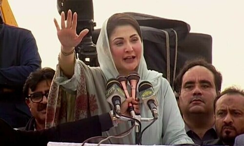 'Believe in Ishaq Dar': Maryam says current finance minister to solve economic crisis