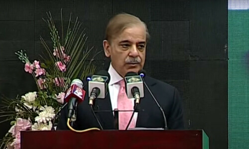 Country can excel at nuclear power generation: PM Shehbaz