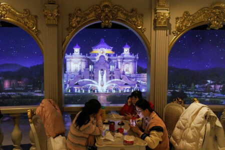 China Jan services activity expands for first time in five months