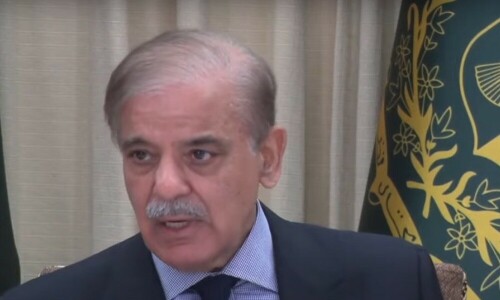 Cabinet members to forgo salaries, perks, says PM Shehbaz while announcing austerity measures