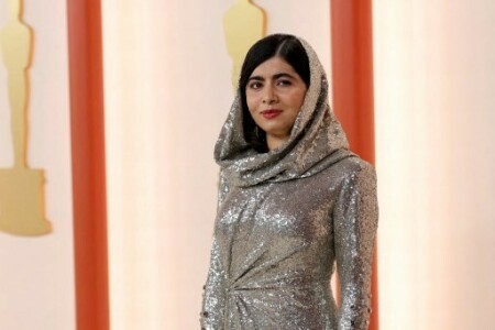 Oscars fashion: smooth elegance, lots of trains, candy glam