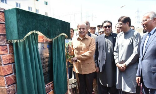 Energy transmission lines to be set up in Thar by April 30: PM Shehbaz Energy transmission lines to be set up in Thar by April 30: PM Shehbaz