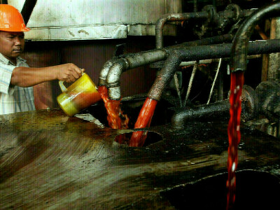 Malaysia keeps May crude palm oil export duty at 8%