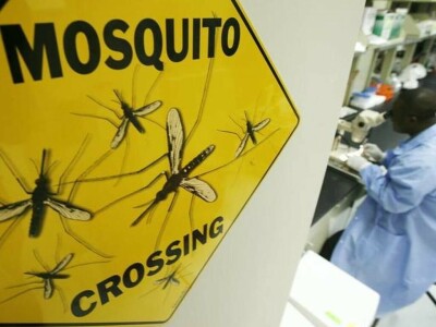 Malaria cases spike in Malawi, Pakistan after 'climate-driven' disasters