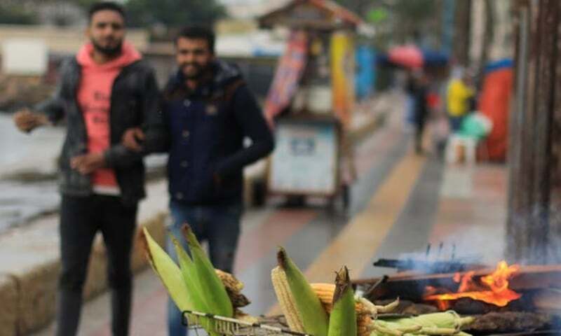 Egypt begins offering corn on commodities exchange