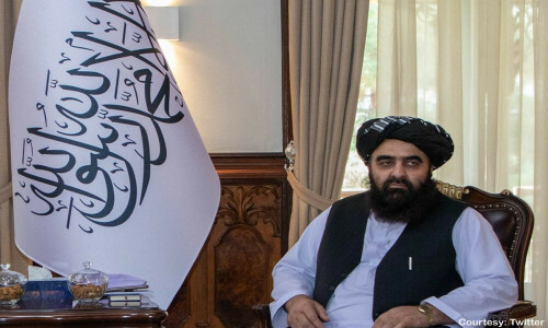 Afghan foreign minister to woo neighbours on rare visit