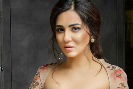 Ushna questions if &lsquo;Lahore Diamond&rsquo; would have &lsquo;remained state property&rsquo; in Pakistan