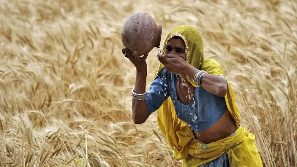 Climate-stressed Indian farmers seek to escape debt and suicide