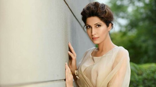 Actor Vaneeza Ahmed calls for female empowerment, breaking stereotypes