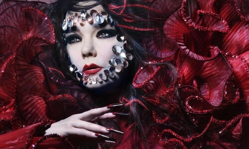 Bjork: &lsquo;Musk should build solar-powered festival ships&rsquo;