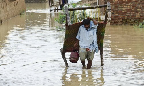 Unprecedented floods wreak havoc on Pakistan&rsquo;s agri sector: Economic Survey 2022-23