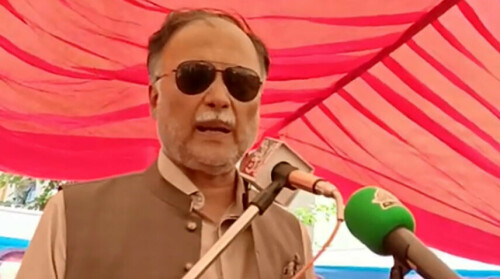 Allies need to own decisions, says Ahsan Iqbal after Bilawal&rsquo;s concerns on budget