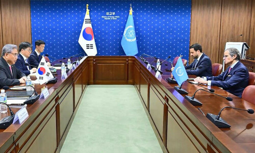 IAEA chief meets top South Korean diplomat amid protest