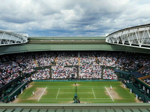 Wimbledon Day 9: Quarter-finals guide
