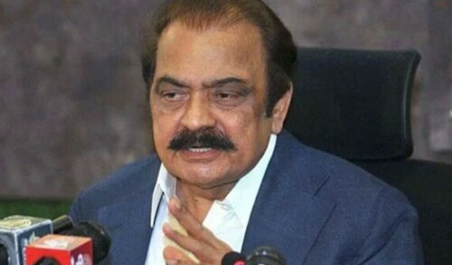 PML-N will field candidates in all Punjab constituencies: Rana Sanaullah