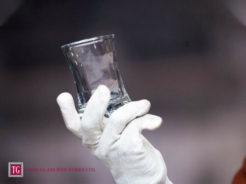Tariq Glass Industries Limited Tariq Glass Industries Limited