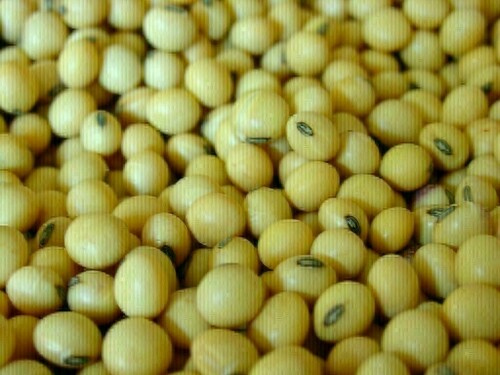 China June soybean imports from Brazil up 32% on year