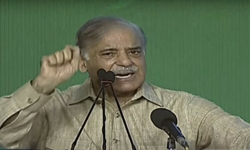 PM Shehbaz lays foundation stone of road projects in Punjab