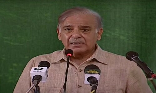 PM Shehbaz expects &lsquo;positive results amid improved energy and agri production&rsquo;