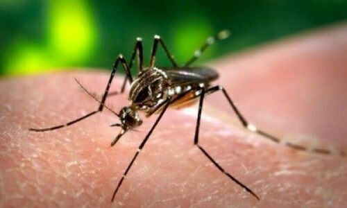 Bangladesh fears record high death toll from dengue outbreak Bangladesh fears record high death toll from dengue outbreak