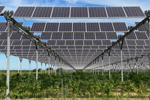 Agrivoltaics: looking to solve Pakistan’s food and energy conundrum at the same time Agrivoltaics: looking to solve Pakistan’s food and energy conundrum at the same time