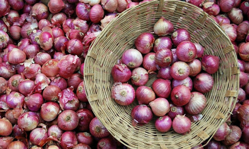 India imposes 40% export duty on onions with immediate effect