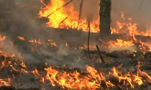 Greece forest fires death toll hits 20