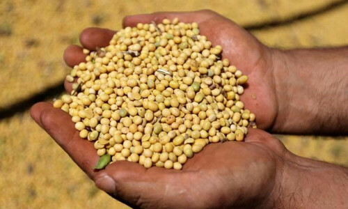 Soybeans set for biggest monthly gain since Feb 2022; wheat eases