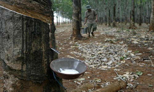 Rubber: Japan futures hit near 6-mth high as China stimulus boosts demand outlook Rubber: Japan futures hit near 6-mth high as China stimulus boosts demand outlook