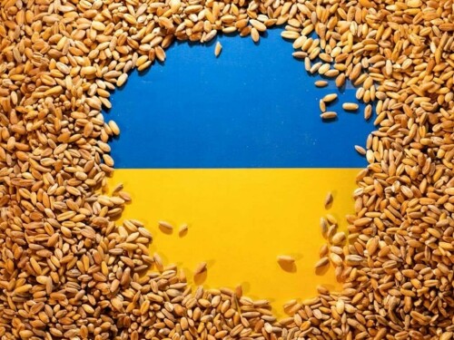 Poland says will extend ban on Ukraine grain imports
