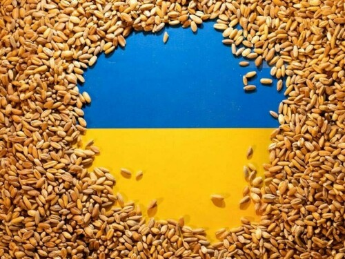 Bulgaria lifts ban on Ukraine grain imports