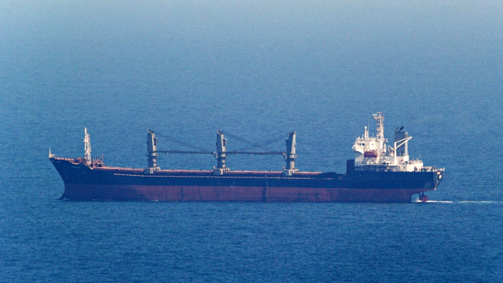 Second Ukraine wheat shipment reaches Turkiye: tracking sites