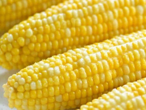 South Korea&rsquo;s KFA tenders for up to 136,000 T corn