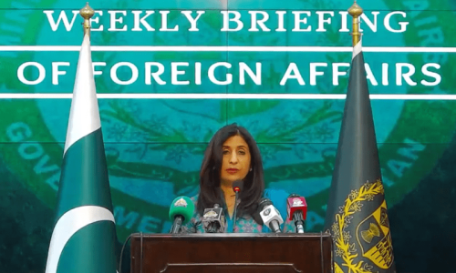 Action against illegal immigrants not targeting any particular nationality: FO