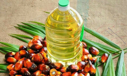 Palm ends lower on weaker demand from top buyers India, China