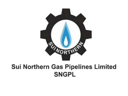 Govt appoints Ismail Qureshi as SNGPL chairperson Govt appoints Ismail Qureshi as SNGPL chairperson