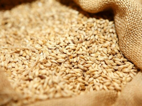 Wheat extends run on export demand; corn and soy consolidate