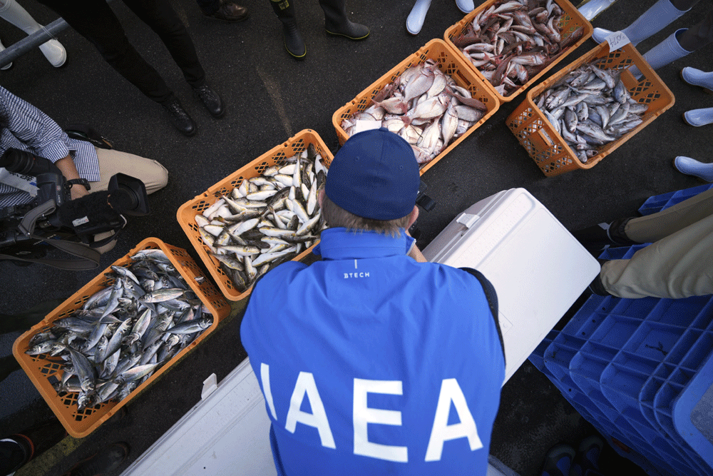 UN inspectors test Fukushima fish