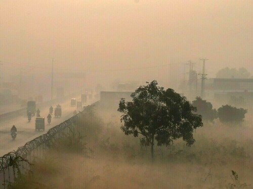 Air pollution in India&rsquo;s New Delhi turns &lsquo;severe&rsquo;, some schools shut