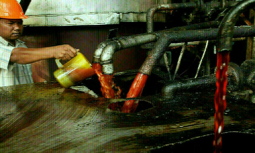 Palm oil gains on signs on robust Chinese demand, weak crude oil prices weigh
