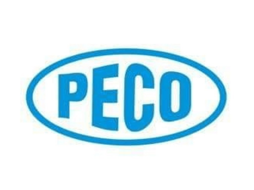 PC initiates privatisation process of PECO
