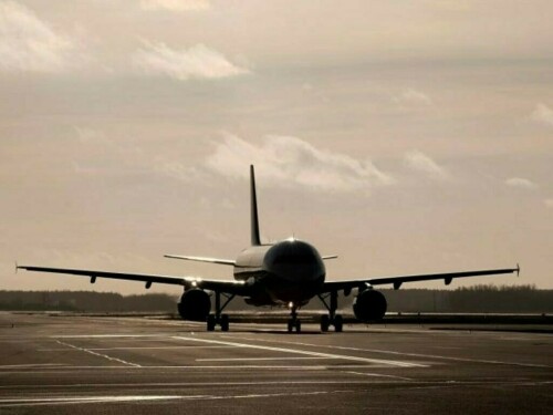 International travel demand falls after onset of Israel-Hamas conflict, data shows