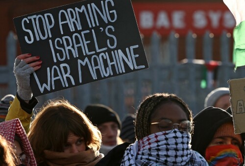 In solidarity with the olive trees of Palestine