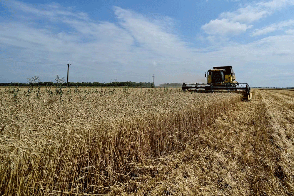 Ukraine&rsquo;s farmers pin hopes on export corridor as war cost mounts