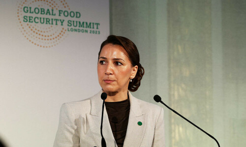 COP28 host UAE ready for rising heat risk, says minister