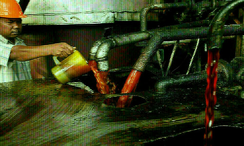 Palm oil set for second weekly loss on poor demand, weak rivals