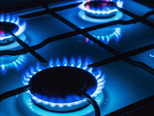 WPI: Gas prices take charge