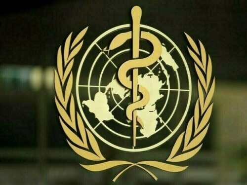 WHO team calls Gaza's Al-Shifa hospital a 'bloodbath'