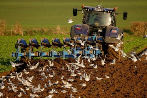Digital revolution in Pakistan’s agriculture sector: some key principles Digital revolution in Pakistan’s agriculture sector: some key principles